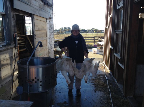 Ma with two birds ready for wet plucking