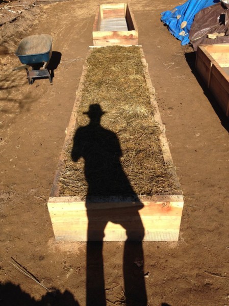 Bed covered with rice straw to stanch weed growth until spring planting