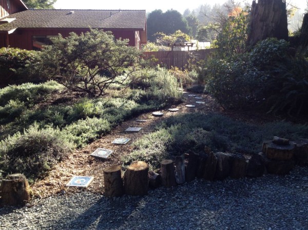 Front yard path cleared and bushes pruned