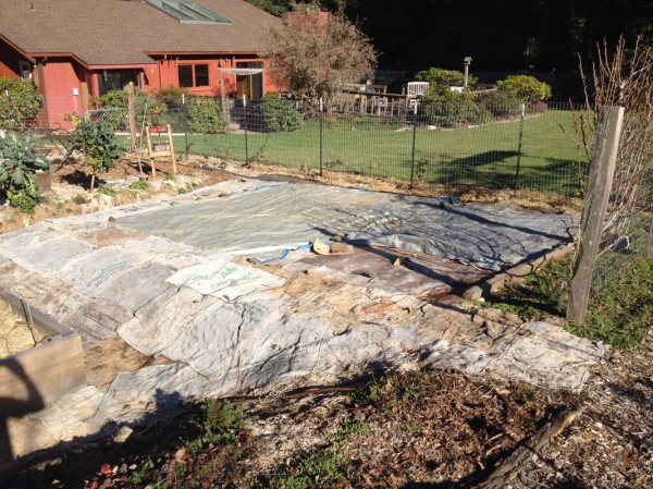 Old lawn covered up to make room for two new dry-farm beds